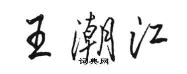 駱恆光王潮江行書個性簽名怎么寫