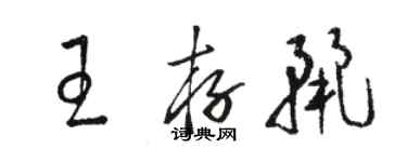 駱恆光王存麗草書個性簽名怎么寫