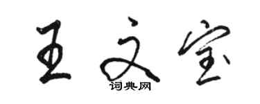 駱恆光王文寶行書個性簽名怎么寫