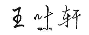 駱恆光王葉軒行書個性簽名怎么寫