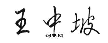 駱恆光王中坡行書個性簽名怎么寫