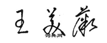 駱恆光王美薇草書個性簽名怎么寫