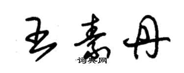 朱錫榮王素丹草書個性簽名怎么寫