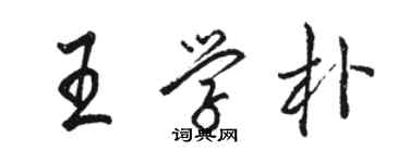 駱恆光王學朴行書個性簽名怎么寫