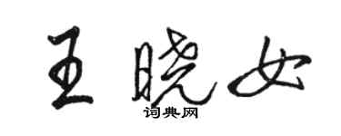 駱恆光王曉女行書個性簽名怎么寫