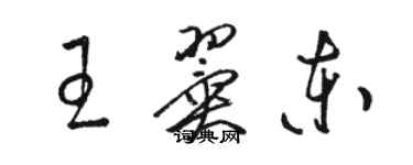 駱恆光王翼東草書個性簽名怎么寫