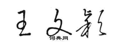 駱恆光王文穎草書個性簽名怎么寫