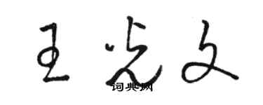 駱恆光王光文草書個性簽名怎么寫