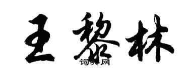 胡問遂王黎林行書個性簽名怎么寫