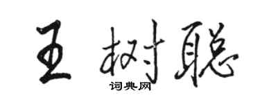 駱恆光王樹聰行書個性簽名怎么寫
