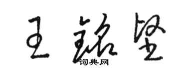 駱恆光王銘堅草書個性簽名怎么寫