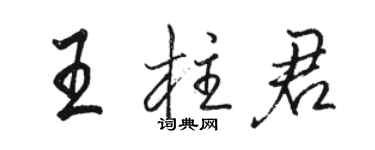 駱恆光王柱君行書個性簽名怎么寫