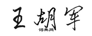 駱恆光王胡軍行書個性簽名怎么寫