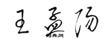 駱恆光王孟陽草書個性簽名怎么寫