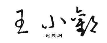 駱恆光王小歡草書個性簽名怎么寫