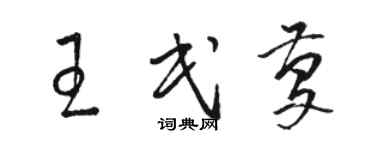 駱恆光王民慶草書個性簽名怎么寫