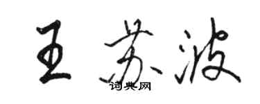 駱恆光王蘇波行書個性簽名怎么寫