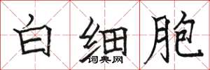 駱恆光白細胞楷書怎么寫