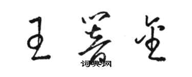 駱恆光王響金草書個性簽名怎么寫