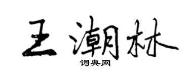 曾慶福王潮林行書個性簽名怎么寫