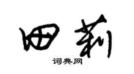 朱錫榮田莉草書個性簽名怎么寫