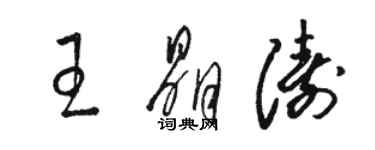 駱恆光王晶濤草書個性簽名怎么寫