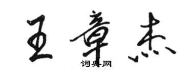 駱恆光王章傑行書個性簽名怎么寫