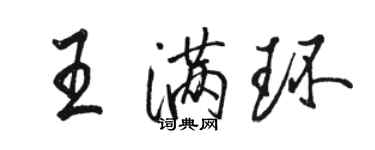 駱恆光王滿環行書個性簽名怎么寫
