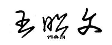 朱錫榮王昭文草書個性簽名怎么寫