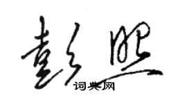 駱恆光彭照草書個性簽名怎么寫