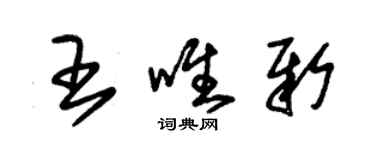 朱錫榮王唯新草書個性簽名怎么寫