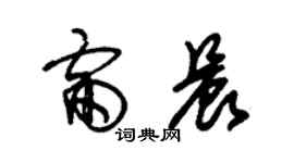 朱錫榮雷晨草書個性簽名怎么寫