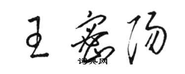 駱恆光王密陽草書個性簽名怎么寫