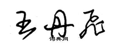 朱錫榮王丹飛草書個性簽名怎么寫