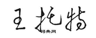 駱恆光王托特草書個性簽名怎么寫