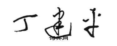 駱恆光丁建平草書個性簽名怎么寫