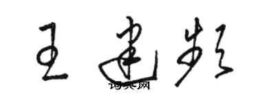 駱恆光王建頻草書個性簽名怎么寫