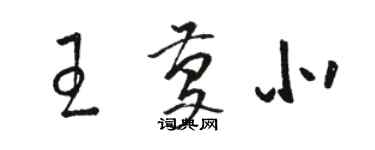 駱恆光王慶北草書個性簽名怎么寫