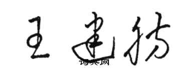 駱恆光王建肪草書個性簽名怎么寫