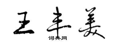 曾慶福王豐美行書個性簽名怎么寫