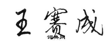 駱恆光王賽成行書個性簽名怎么寫