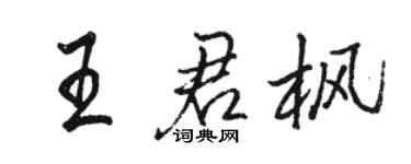 駱恆光王君楓行書個性簽名怎么寫