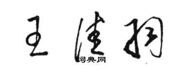 駱恆光王佳羽草書個性簽名怎么寫