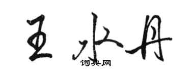 駱恆光王水丹行書個性簽名怎么寫