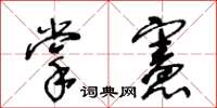 王冬齡掌憲草書怎么寫