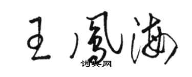 駱恆光王鳳海草書個性簽名怎么寫