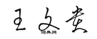 駱恆光王文貴草書個性簽名怎么寫