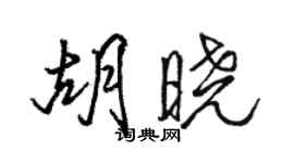 駱恆光胡曉行書個性簽名怎么寫