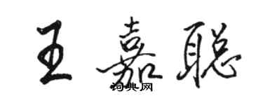 駱恆光王嘉聰行書個性簽名怎么寫