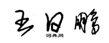 朱錫榮王日鵬草書個性簽名怎么寫